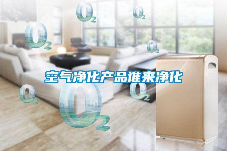 空氣凈化產(chǎn)品誰(shuí)來(lái)凈化