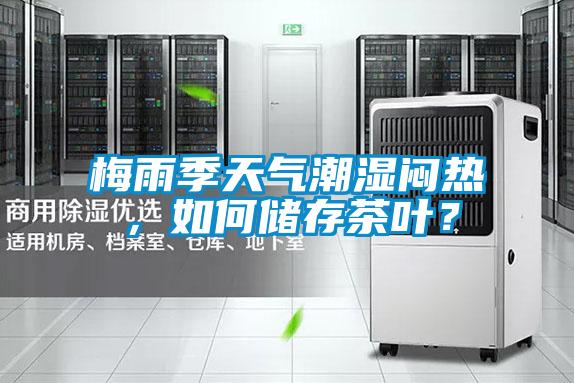 梅雨季天氣潮濕悶熱，如何儲(chǔ)存茶葉？