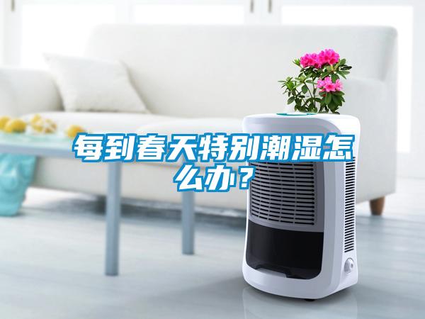 每到春天特別潮濕怎么辦？