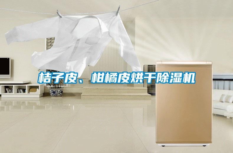 桔子皮、柑橘皮烘干除濕機(jī)