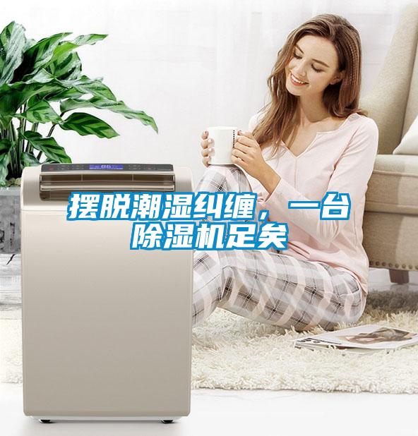 擺脫潮濕糾纏，一臺(tái)除濕機(jī)足矣