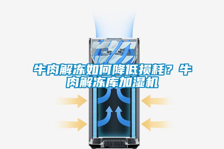 牛肉解凍如何降低損耗？牛肉解凍庫加濕機(jī)