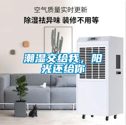 潮濕交給我，陽(yáng)光還給你