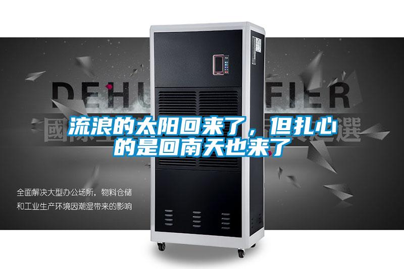 流浪的太陽回來了，但扎心的是回南天也來了
