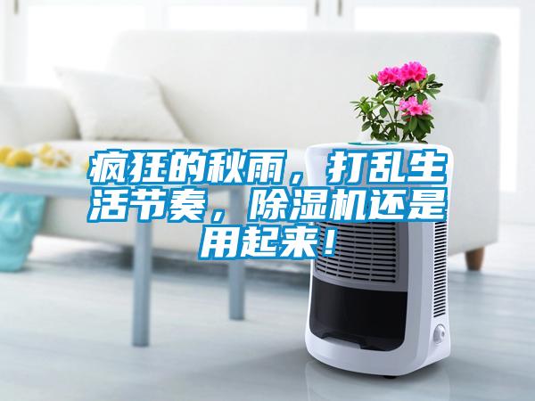 瘋狂的秋雨，打亂生活節(jié)奏，除濕機還是用起來！