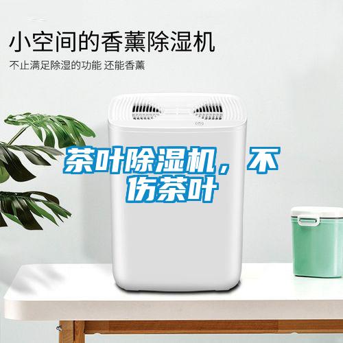 茶葉除濕機(jī)，不傷茶葉