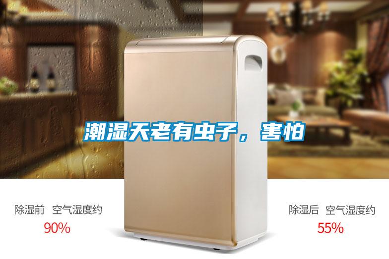潮濕天老有蟲子，害怕
