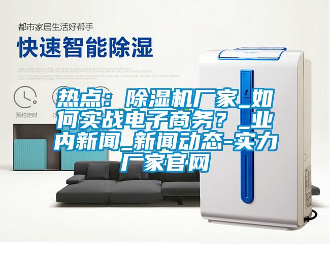 熱點(diǎn)：除濕機(jī)廠家_如何實(shí)戰(zhàn)電子商務(wù)？_業(yè)內(nèi)新聞_新聞動態(tài)-實(shí)力廠家官網(wǎng)