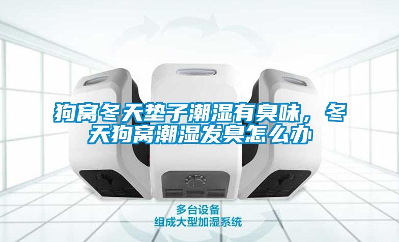 狗窩冬天墊子潮濕有臭味，冬天狗窩潮濕發(fā)臭怎么辦