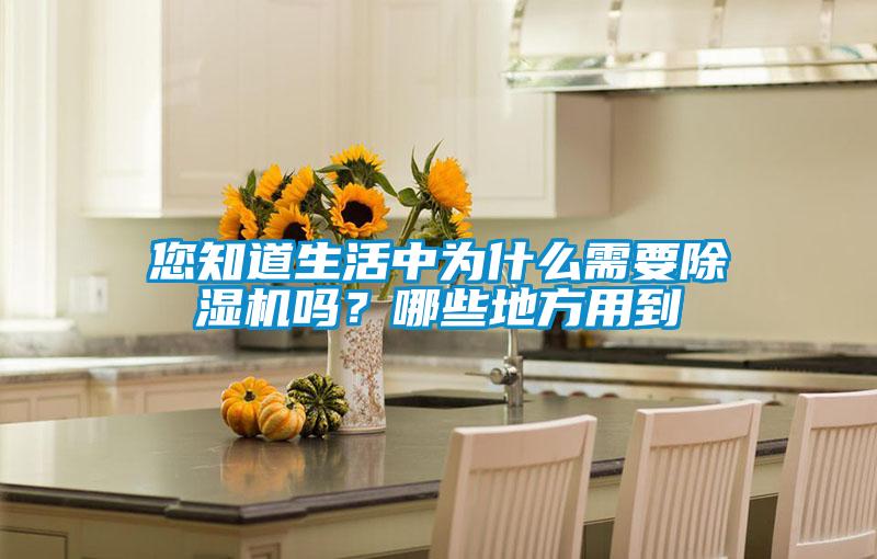 您知道生活中為什么需要除濕機嗎？哪些地方用到