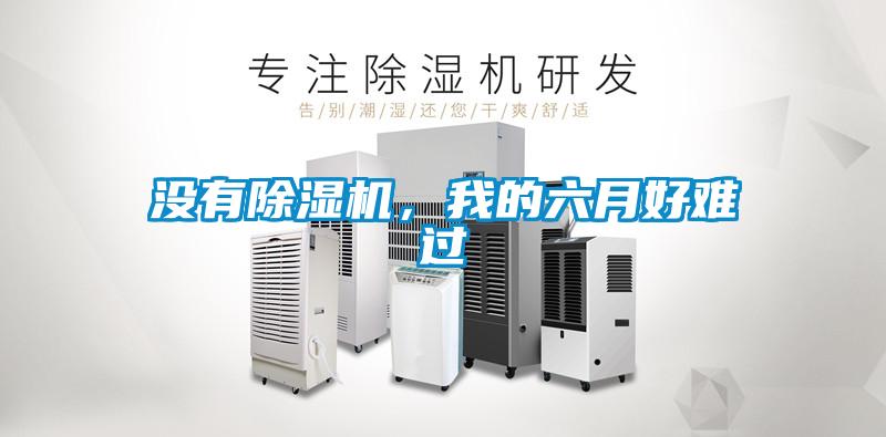 沒有除濕機，我的六月好難過