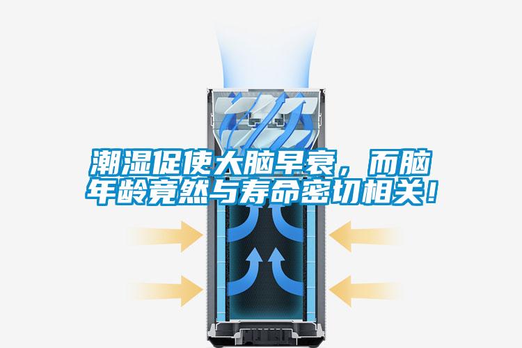 潮濕促使大腦早衰，而腦年齡竟然與壽命密切相關(guān)！