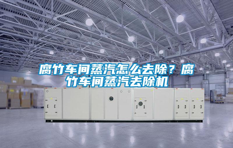 腐竹車間蒸汽怎么去除？腐竹車間蒸汽去除機(jī)