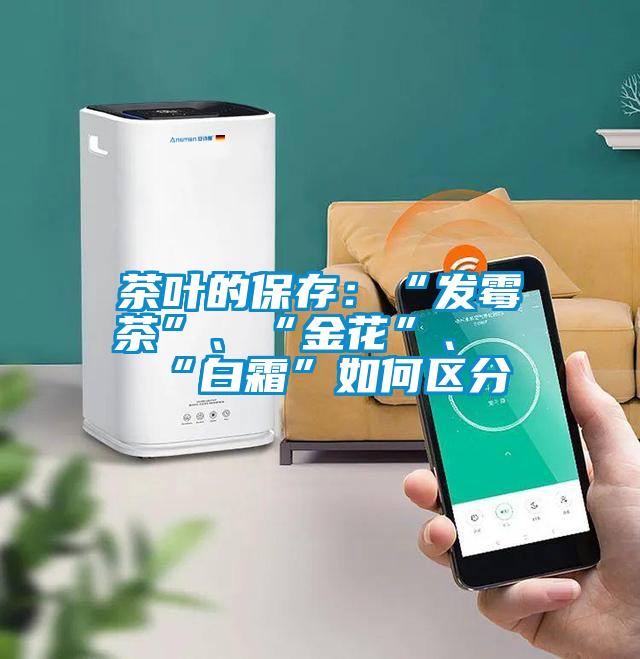 茶葉的保存：“發(fā)霉茶”、“金花”、“白霜”如何區(qū)分
