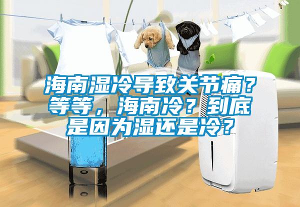 海南濕冷導(dǎo)致關(guān)節(jié)痛？等等，海南冷？到底是因?yàn)闈襁€是冷？