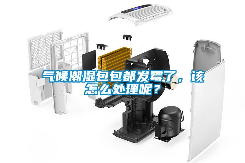 氣候潮濕包包都發(fā)霉了，該怎么處理呢？