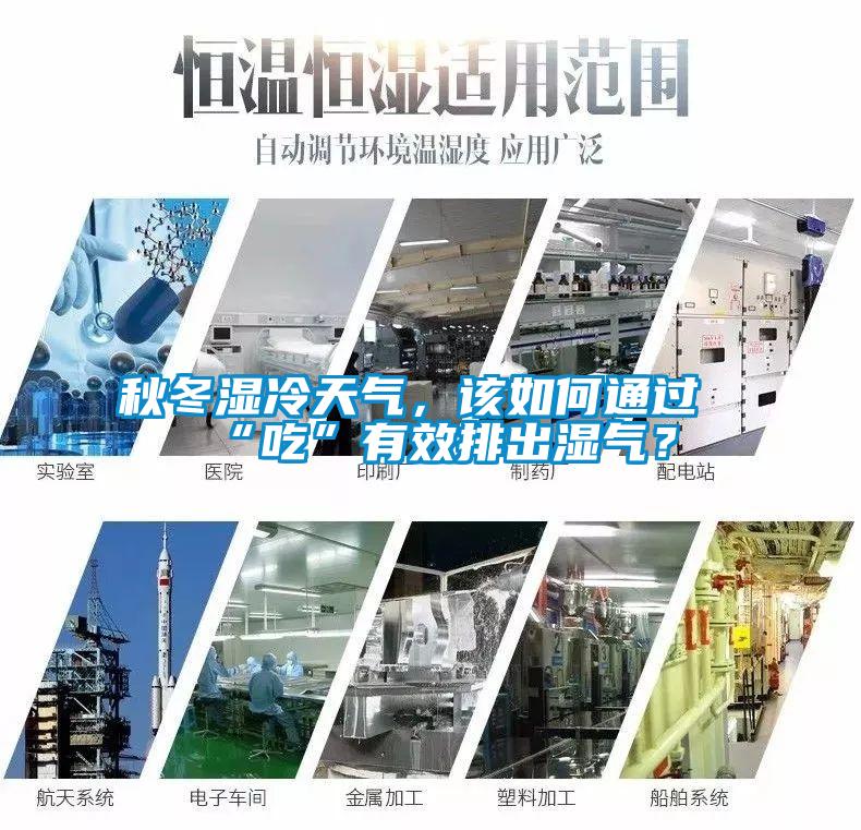 秋冬濕冷天氣，該如何通過“吃”有效排出濕氣？