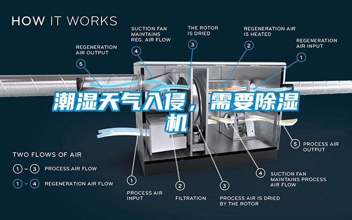 潮濕天氣入侵，需要除濕機