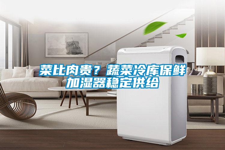 菜比肉貴？蔬菜冷庫保鮮加濕器穩(wěn)定供給