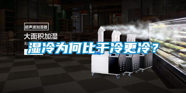 濕冷為何比干冷更冷？