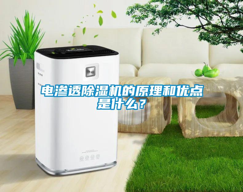 電滲透除濕機的原理和優(yōu)點是什么？