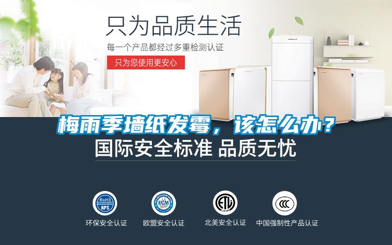 梅雨季墻紙發(fā)霉，該怎么辦？