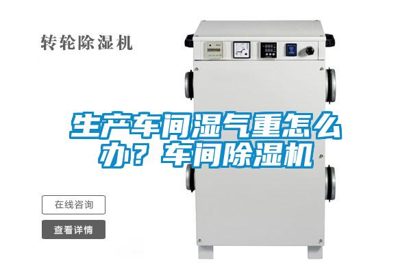 生產(chǎn)車間濕氣重怎么辦？車間除濕機(jī)