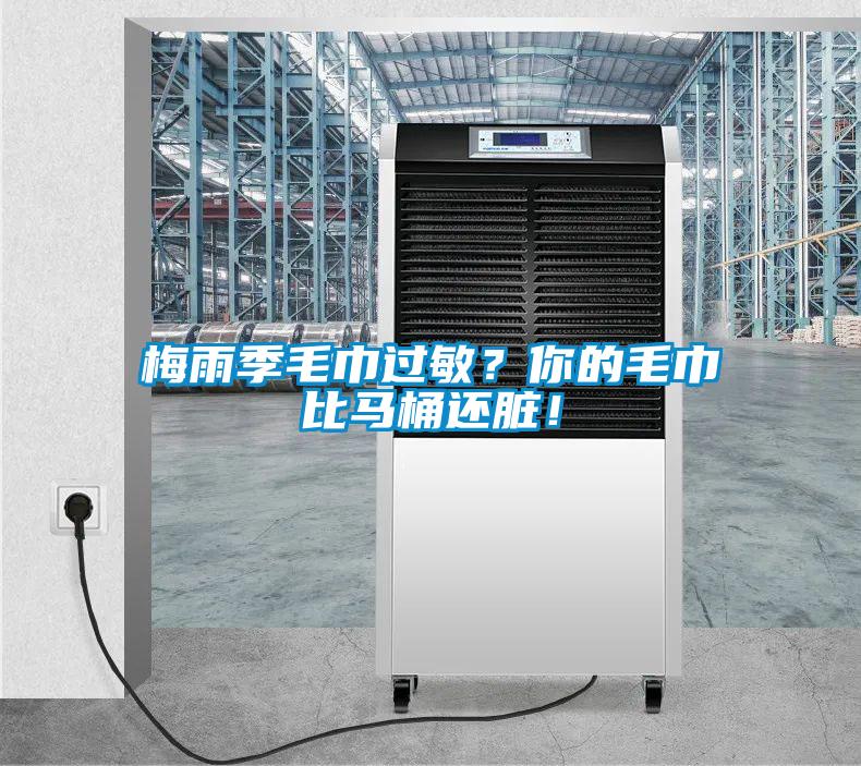 梅雨季毛巾過敏？你的毛巾比馬桶還臟！
