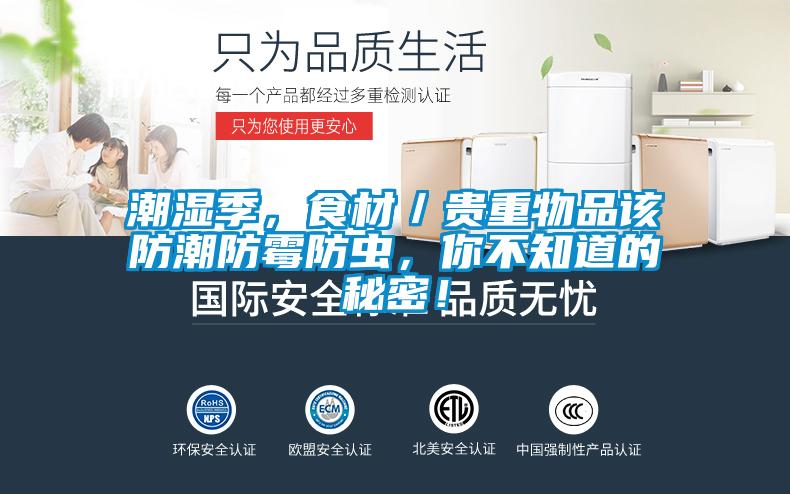 潮濕季，食材／貴重物品該防潮防霉防蟲，你不知道的秘密！