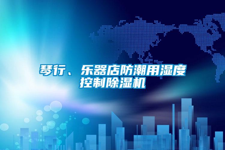 琴行、樂器店防潮用濕度控制除濕機(jī)