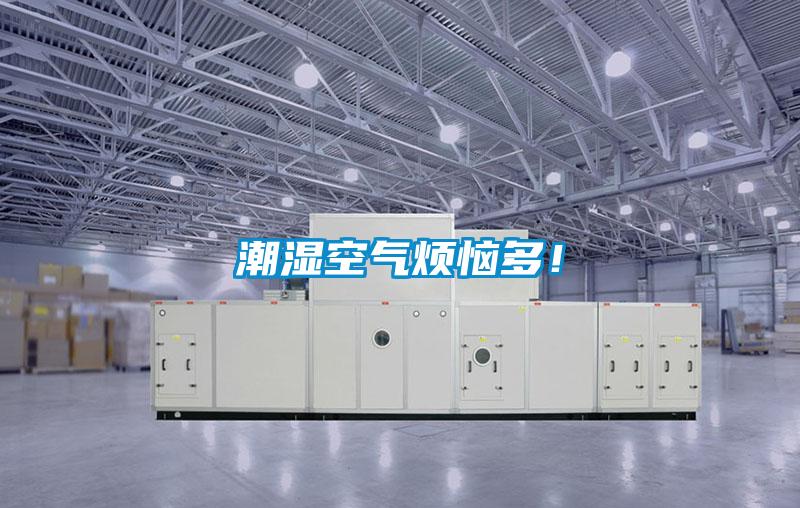潮濕空氣煩惱多！