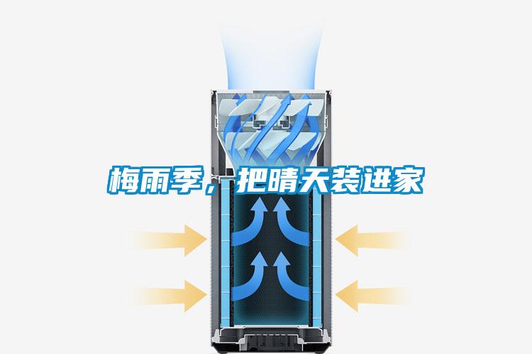 梅雨季，把晴天裝進家