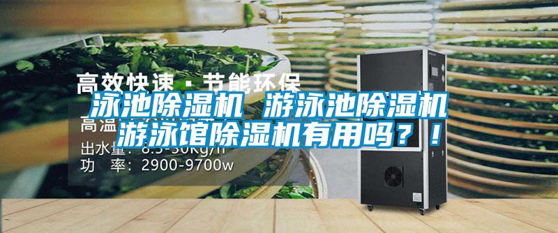 泳池除濕機 游泳池除濕機 游泳館除濕機有用嗎？！