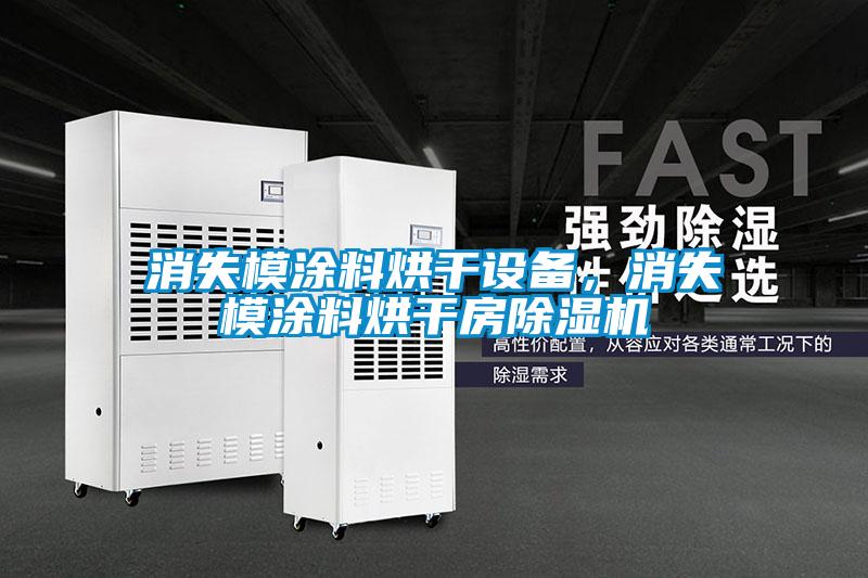 消失模涂料烘干設(shè)備，消失模涂料烘干房除濕機(jī)