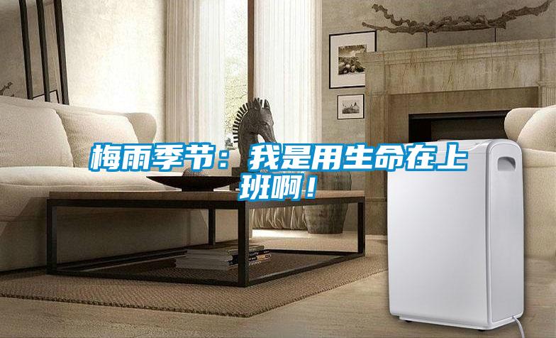 梅雨季節(jié)：我是用生命在上班?。?/></p>
						    <p style=