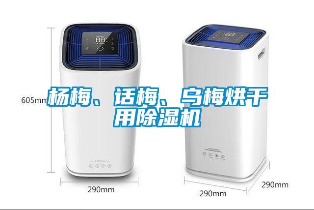 楊梅、話梅、烏梅烘干用除濕機(jī)