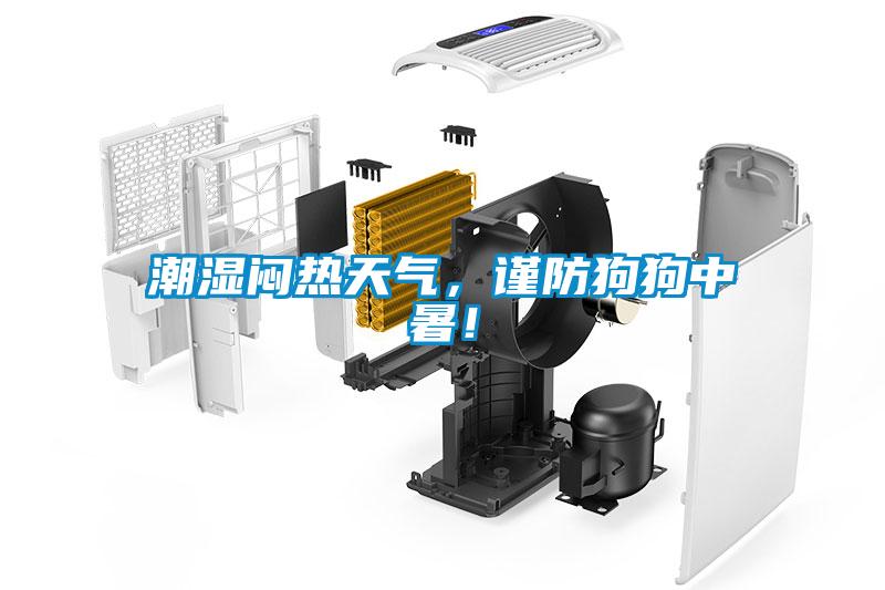 潮濕悶熱天氣，謹(jǐn)防狗狗中暑！