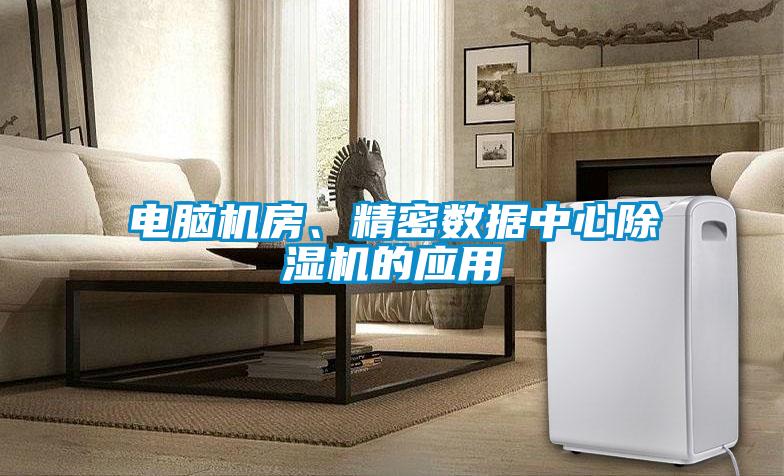 電腦機(jī)房、精密數(shù)據(jù)中心除濕機(jī)的應(yīng)用