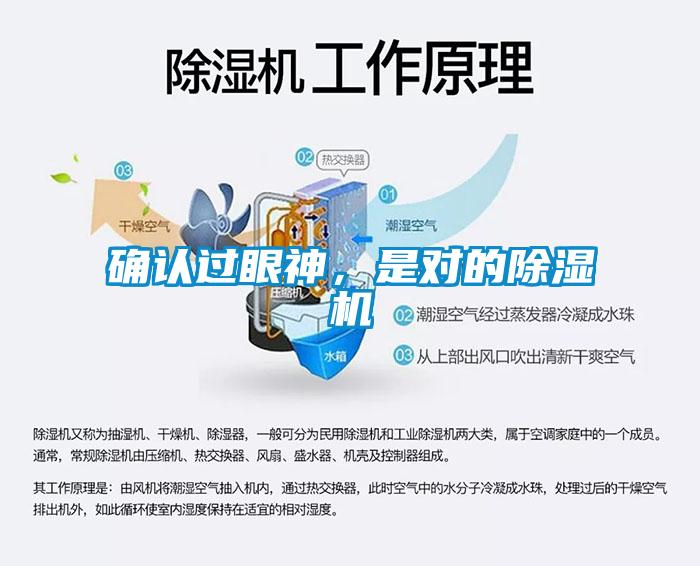 確認過眼神，是對的除濕機