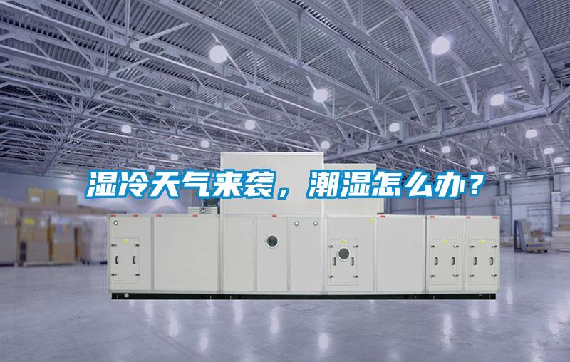 濕冷天氣來(lái)襲，潮濕怎么辦？