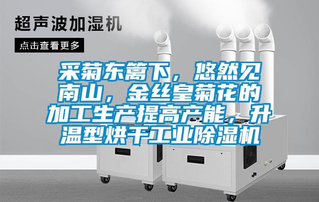 采菊東籬下，悠然見(jiàn)南山，金絲皇菊花的加工生產(chǎn)提高產(chǎn)能，升溫型烘干工業(yè)除濕機(jī)