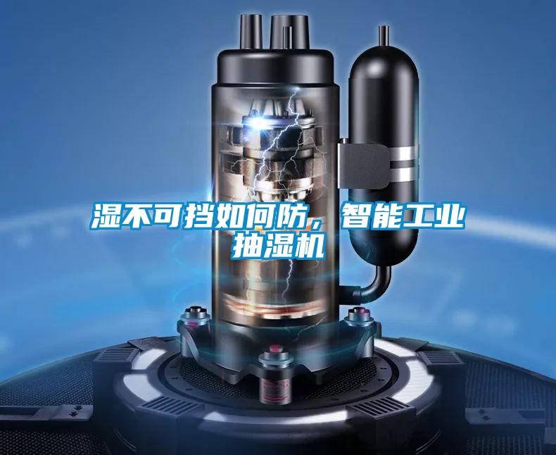 濕不可擋如何防，智能工業(yè)抽濕機(jī)