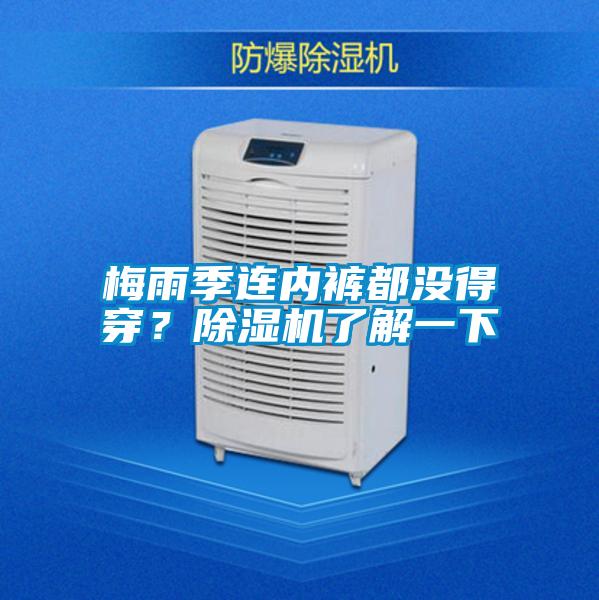 梅雨季連內(nèi)褲都沒得穿？除濕機了解一下