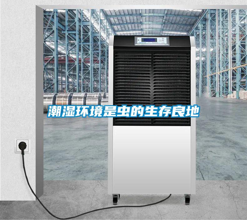 潮濕環(huán)境是蟲(chóng)的生存良地