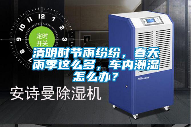 清明時節(jié)雨紛紛，春天雨季這么多，車內(nèi)潮濕怎么辦？
