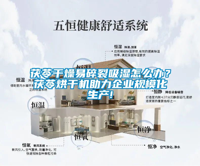 茯苓干燥易碎裂吸濕怎么辦？茯苓烘干機助力企業(yè)規(guī)?；a(chǎn)!