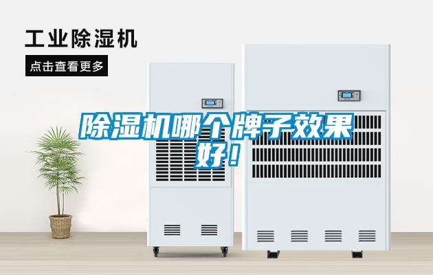 除濕機(jī)哪個(gè)牌子效果好！
