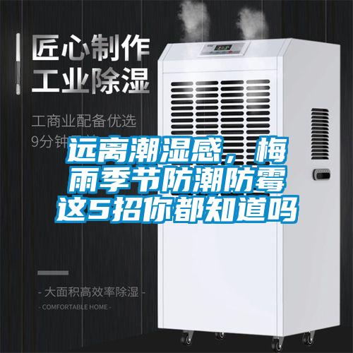 遠離潮濕感，梅雨季節(jié)防潮防霉這5招你都知道嗎