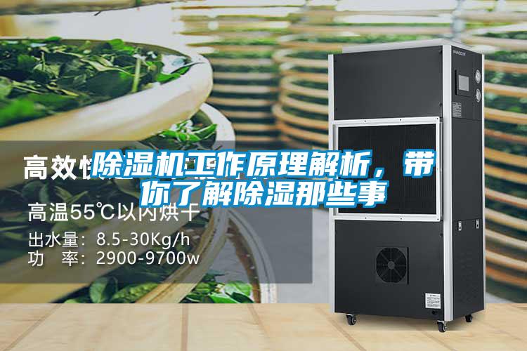 除濕機(jī)工作原理解析，帶你了解除濕那些事