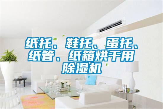 紙托、鞋托、蛋托、紙管、紙箱烘干用除濕機(jī)